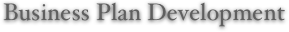 Business Plan Development